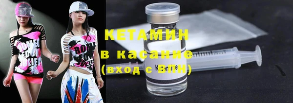 прущие грибы Беломорск