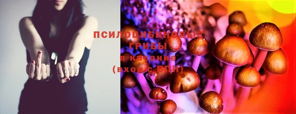 прущие грибы Беломорск