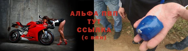 сатива Белокуриха