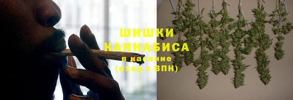 прущие грибы Беломорск