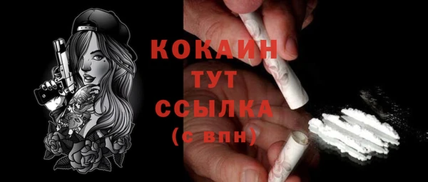 прущие грибы Беломорск