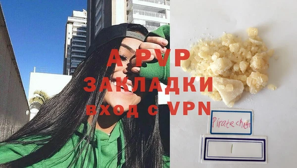 сатива Белокуриха
