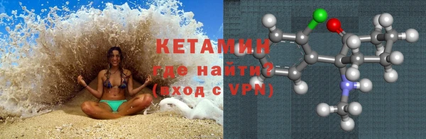 прущие грибы Беломорск